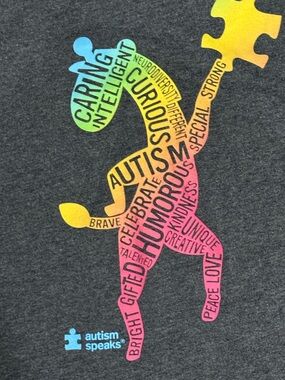 Autism Awareness Rainbow Graphic Tee - Dark Gray
